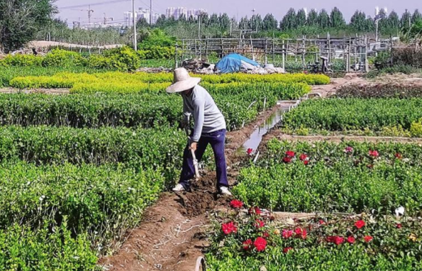 微信截圖_20220718142601.png 微信截圖_20220718142601.png